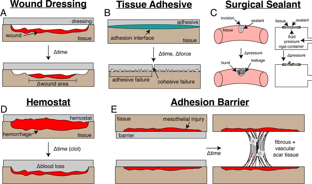 Figure 1: