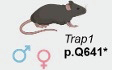 graphic file with name 44321_2024_147_Figb_HTML.jpg