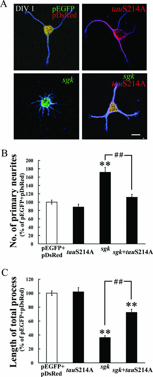 FIG. 8.