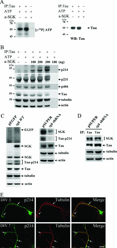 FIG. 6.