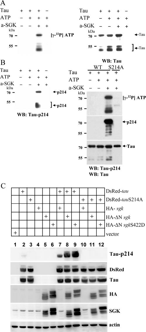 FIG. 5.