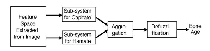 Fig. 13