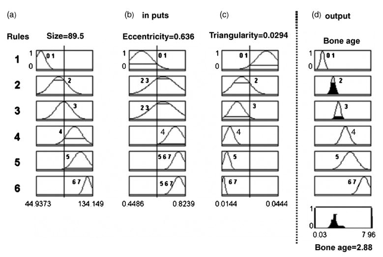 Fig. 15