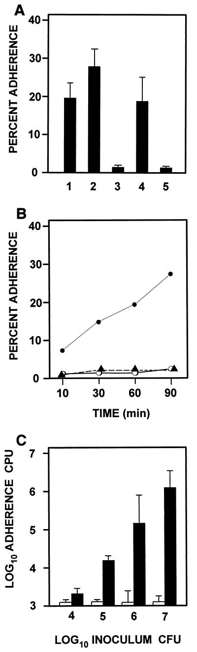 FIG. 1