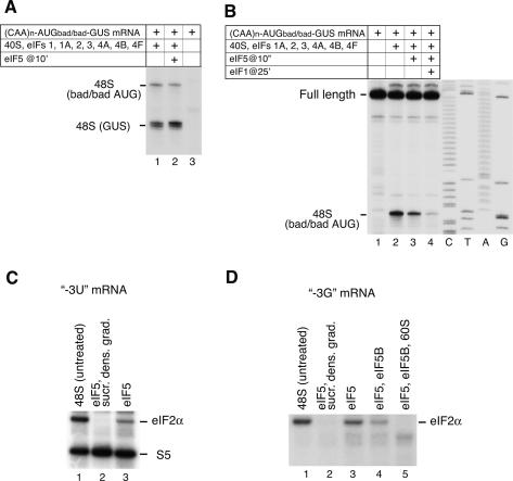 Figure 6.