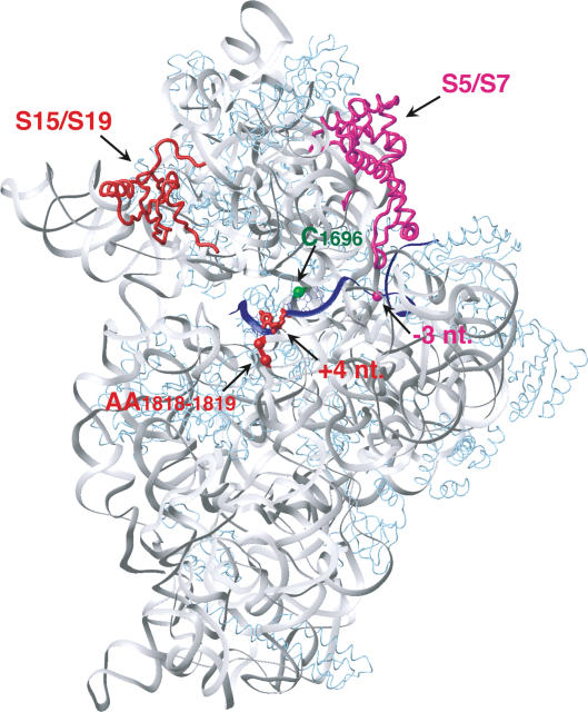 Figure 4.