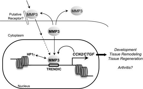 FIG. 12.