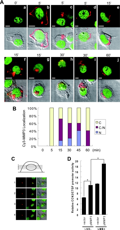 FIG. 6.