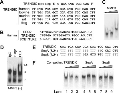 FIG. 11.