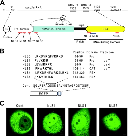 FIG. 7.