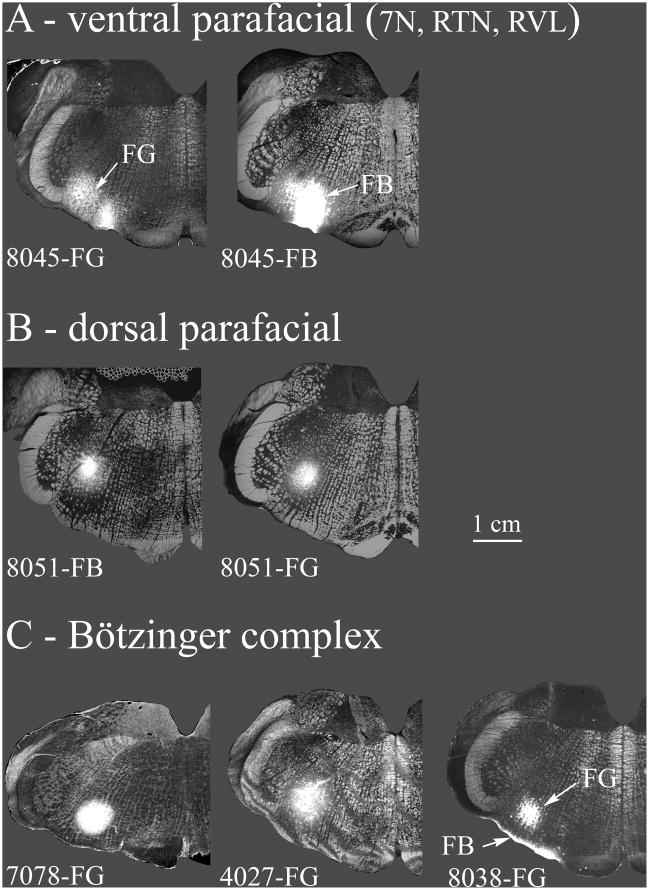 Fig. 3