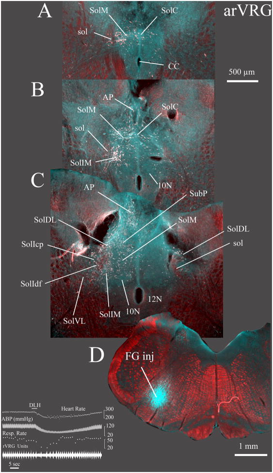 Fig. 8