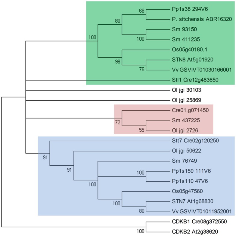 Figure 2