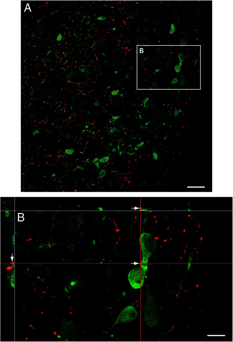 Figure 3.