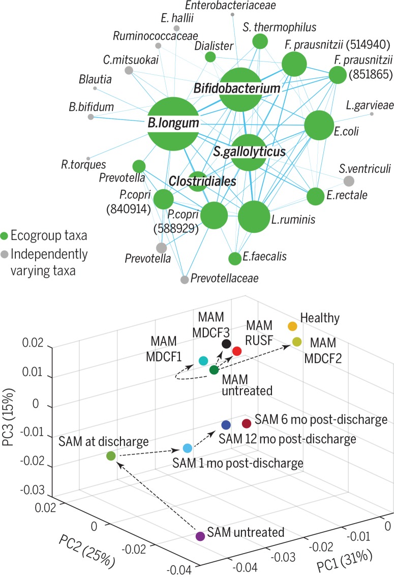 graphic file with name Science-365-eaau4735-g006.jpg