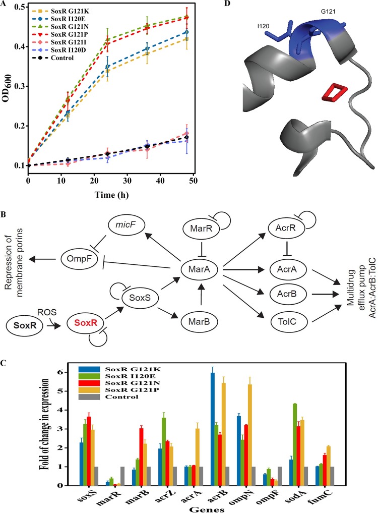 FIG 2