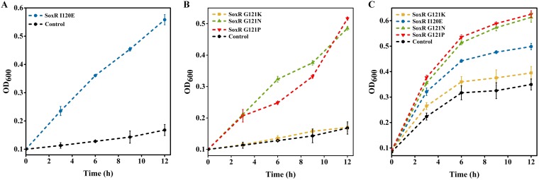 FIG 3