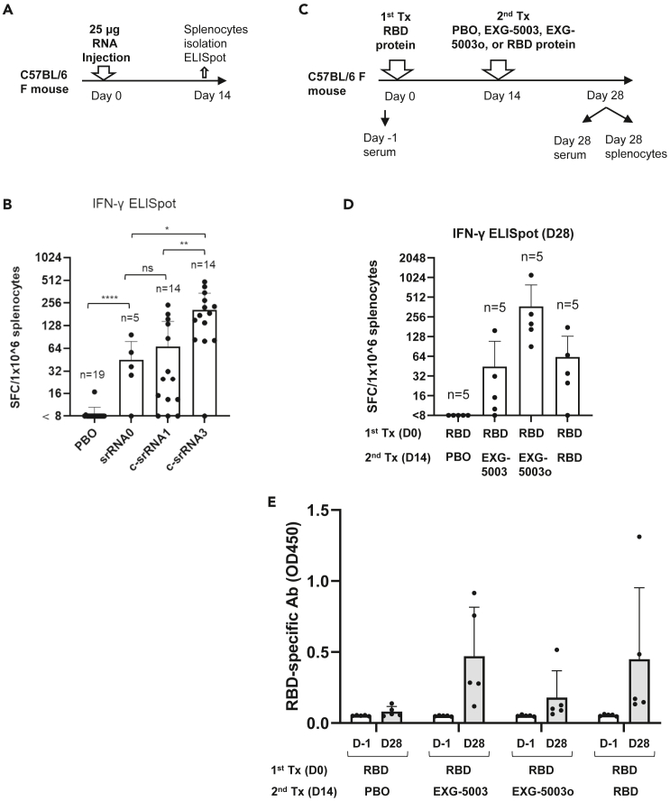 Figure 4