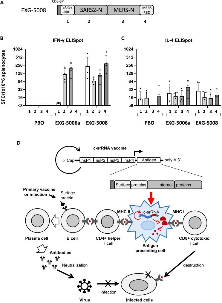 Figure 7