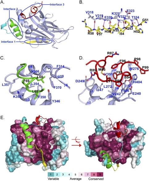 Figure 2.