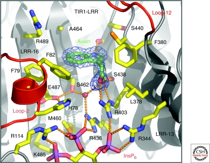 Figure 4.