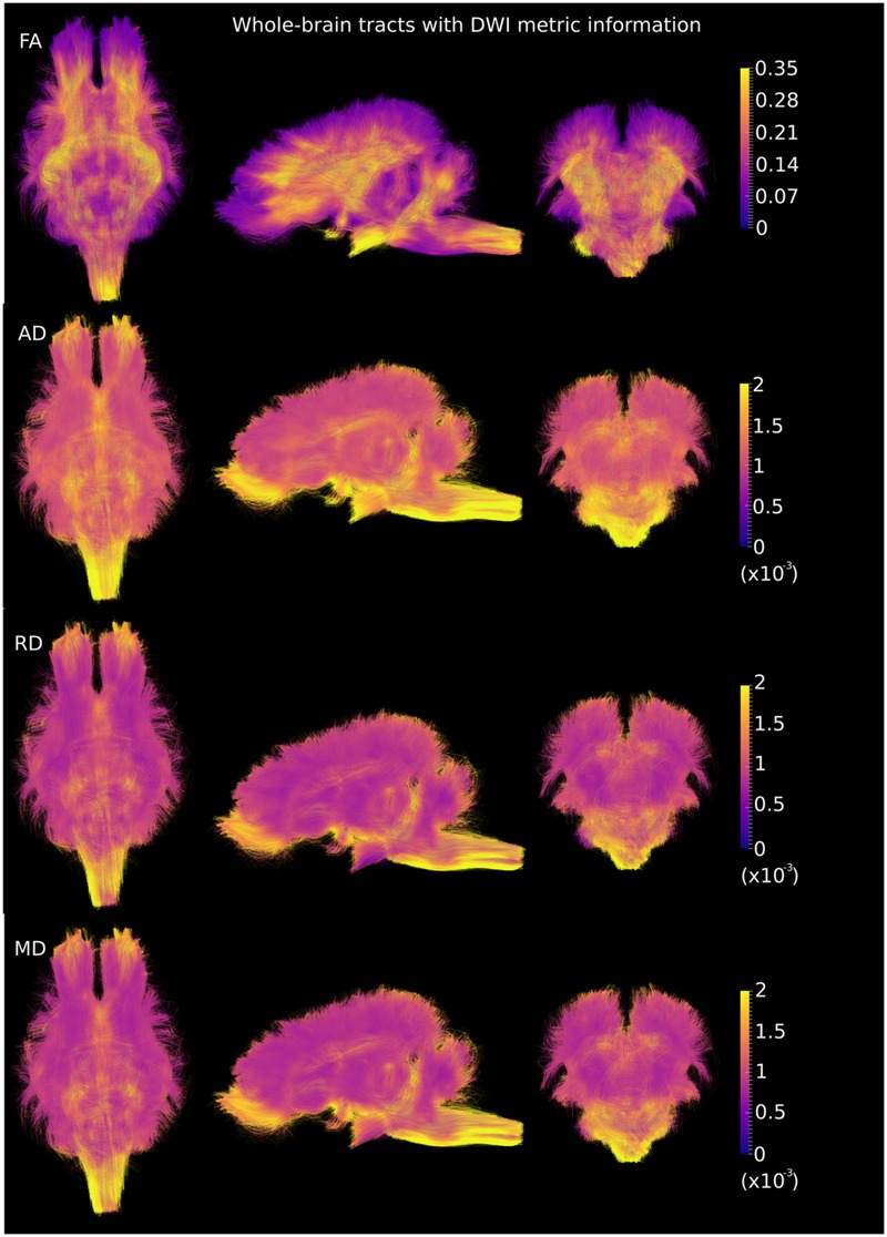 FIGURE 4