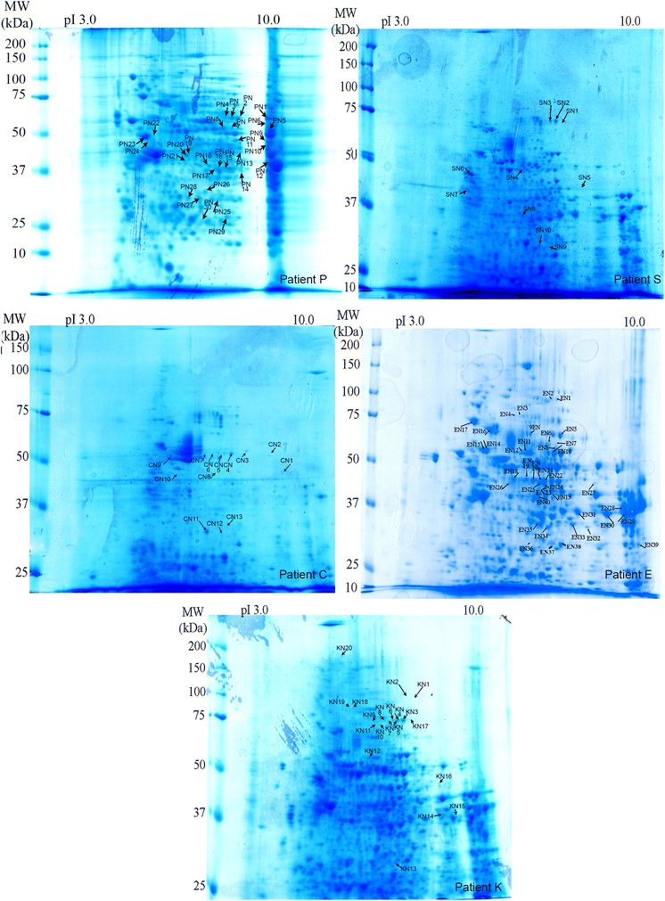 Fig. 7