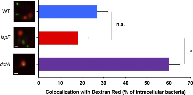 FIG 3