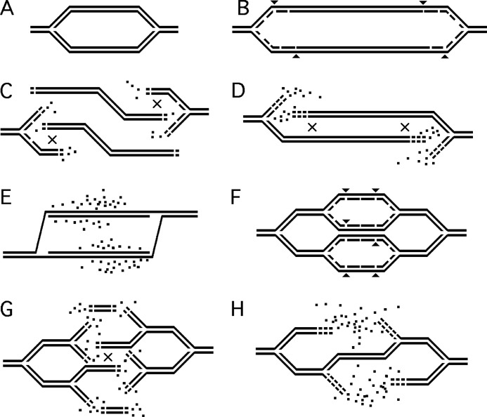 FIGURE 8.