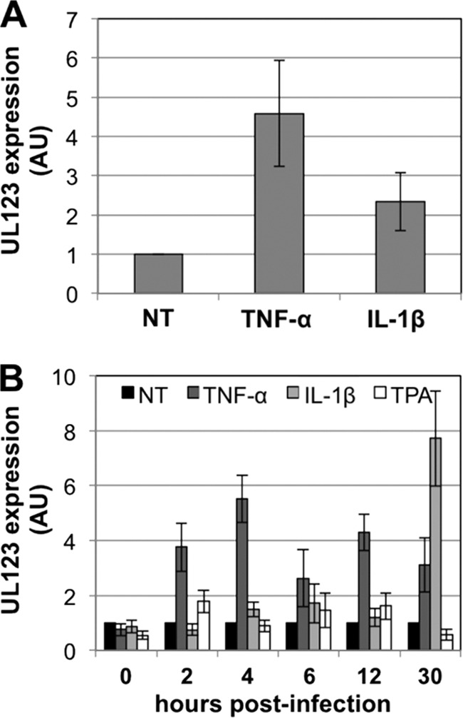 Fig 9