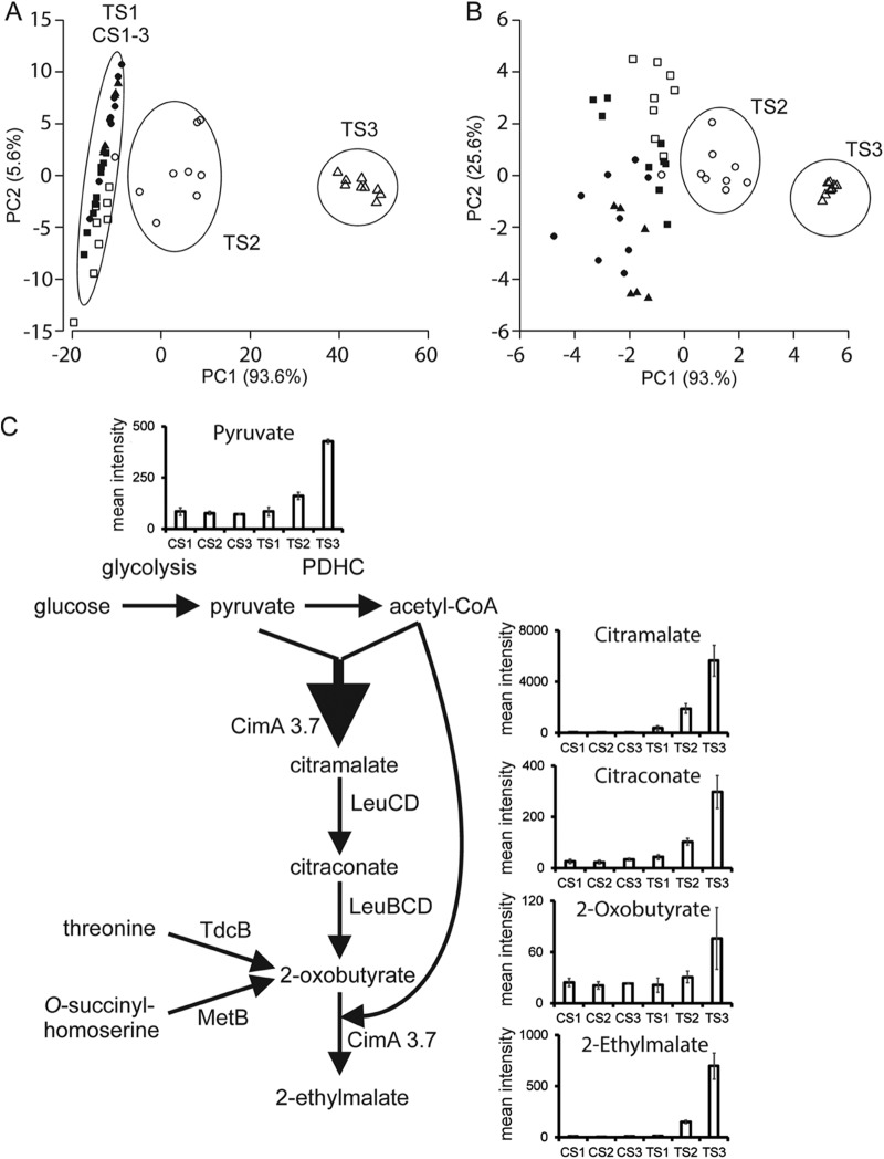 FIG 2