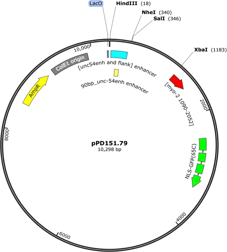 Fig. 6