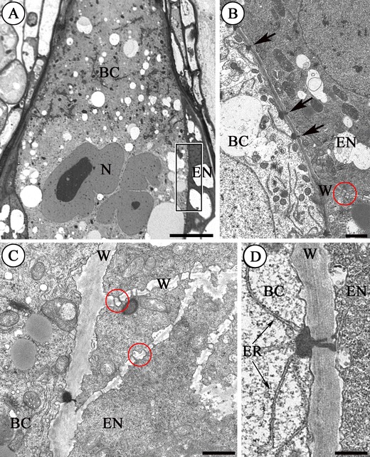 Fig. 4