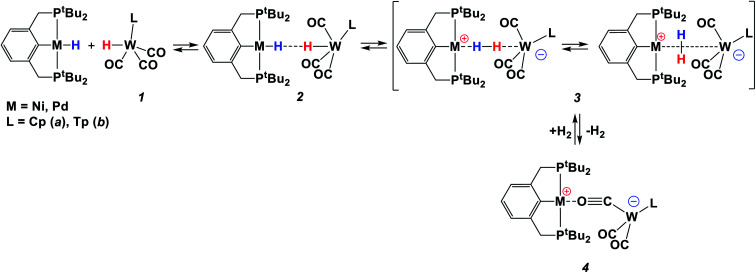 Scheme 1