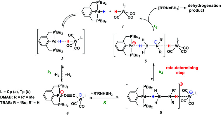 Scheme 3