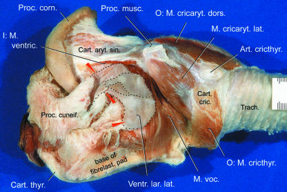 Fig. 9