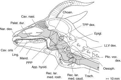 Fig. 14