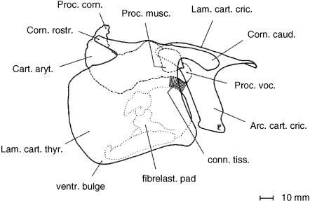 Fig. 11