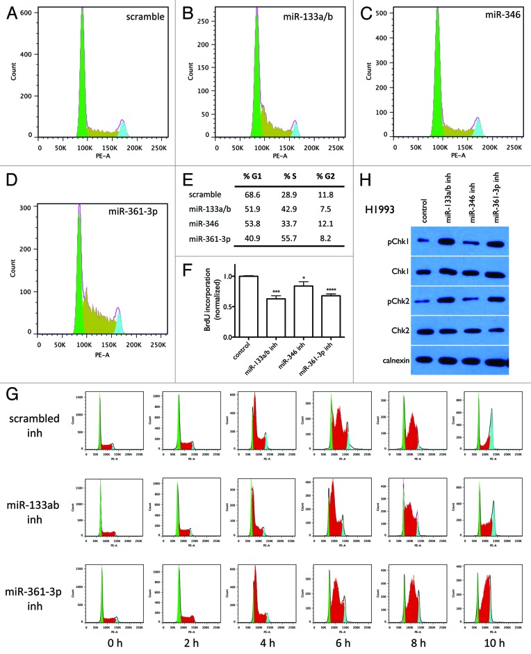 graphic file with name rna-10-1700-g6.jpg