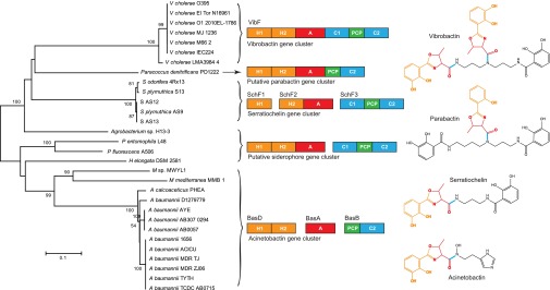 Fig. 6.