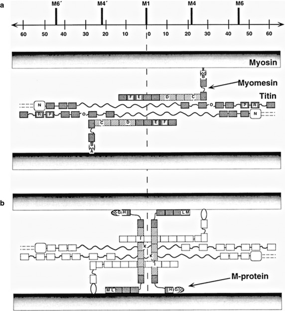 Fig 18