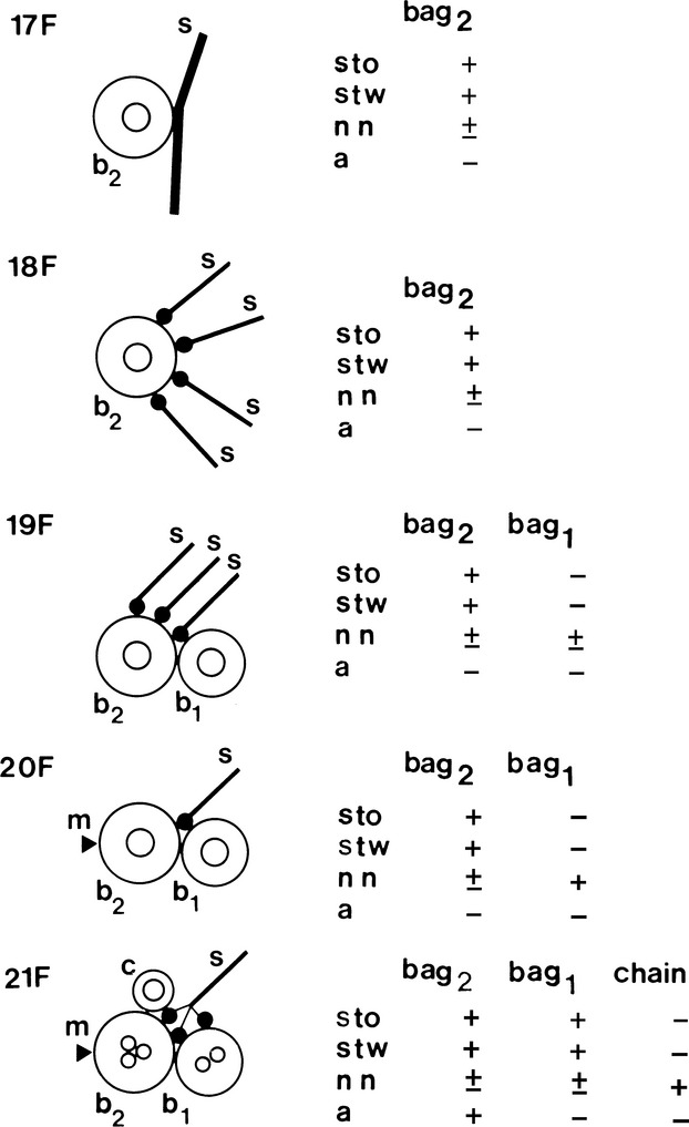 Fig 7