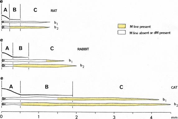 Fig 13