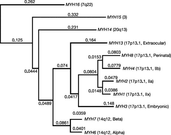 Fig 9