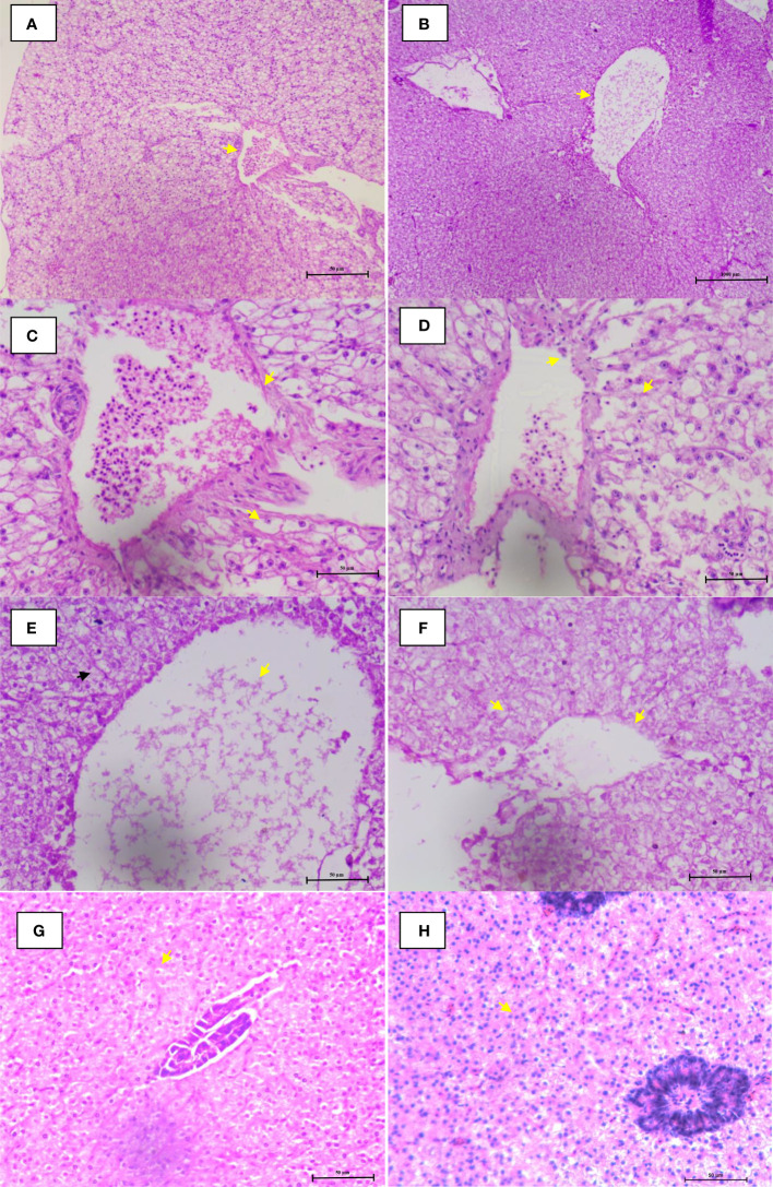 Figure 5