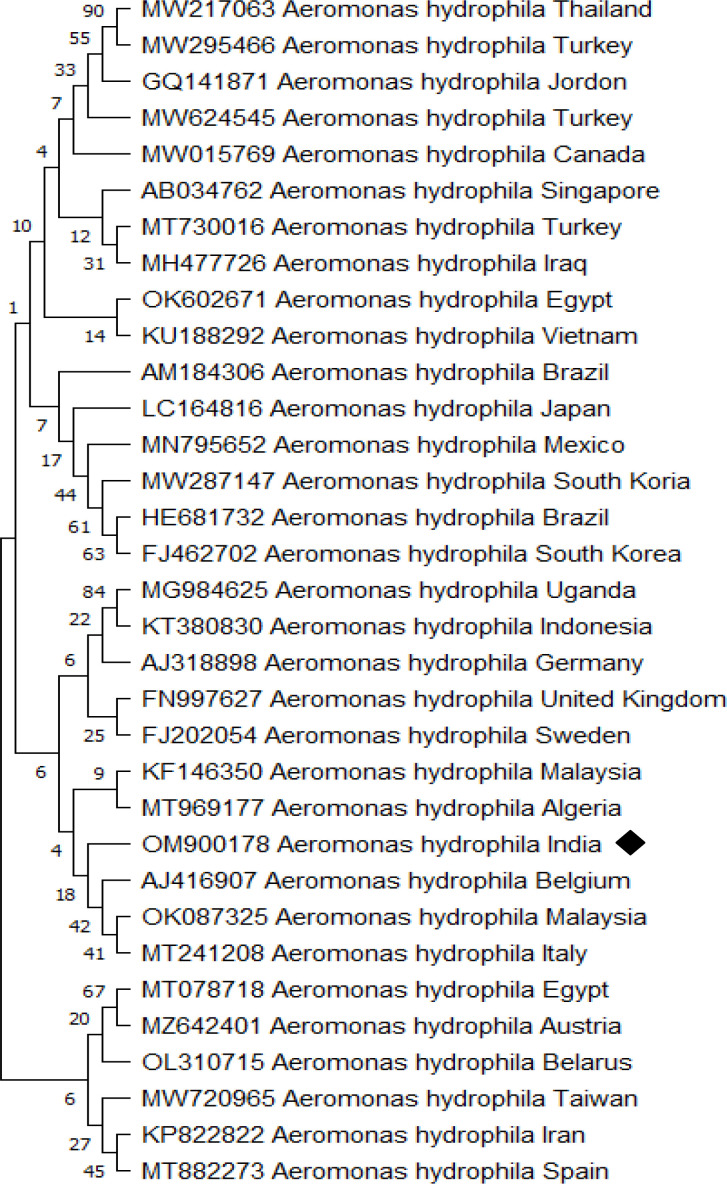 Figure 4