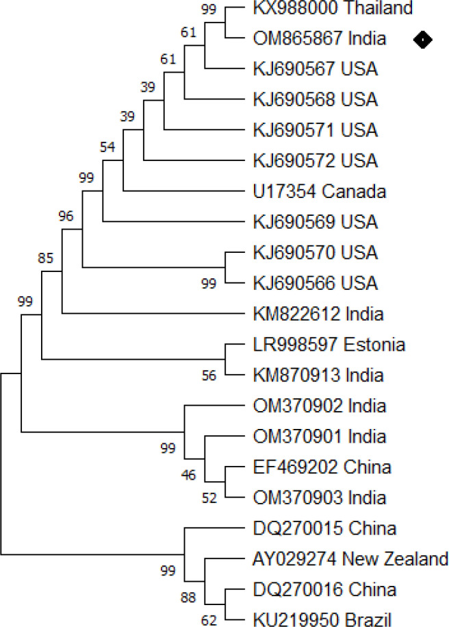 Figure 3