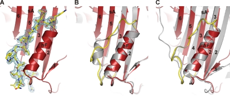 FIGURE 5.