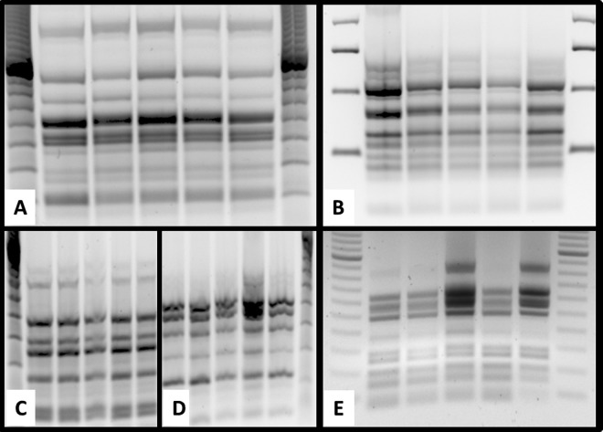 FIG 2