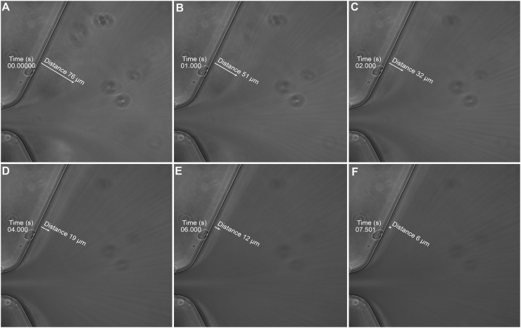 FIG. 8.